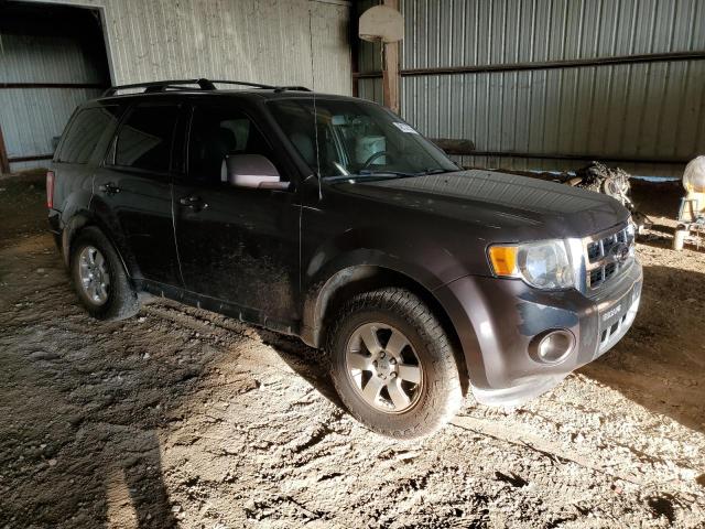 Photo 4 from auction – 2012 FORD ESCAPE LIM with VIN 1FMCU0EG4CKC55813
