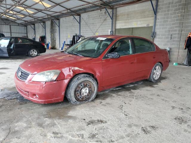 NISSAN ALTIMA S 2005 with VIN 1N4AL11D65N423281 - Photo from auction
