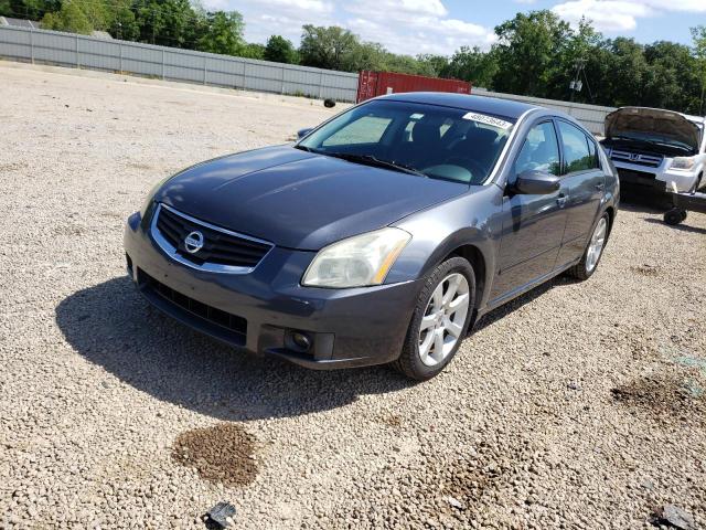 NISSAN MAXIMA SE 2008 with VIN 1N4BA41E98C801291 - Photo from auction