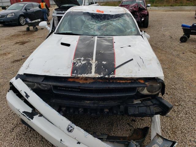 Photo 11 from auction – 2010 DODGE CHALLENGER with VIN 2B3CJ4DVXAH255244