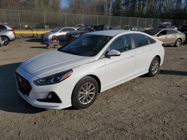 HYUNDAI SONATA SE 2019 with VIN 5NPE24AF2KH786772 - Photo from auction