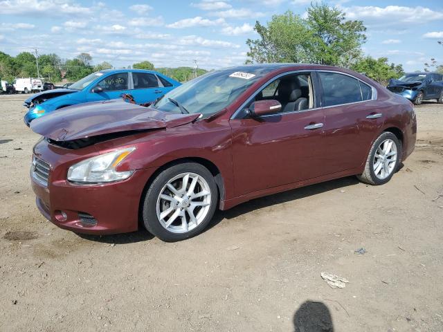NISSAN MAXIMA S 2010 with VIN 1N4AA5AP7AC856086 - Photo from auction