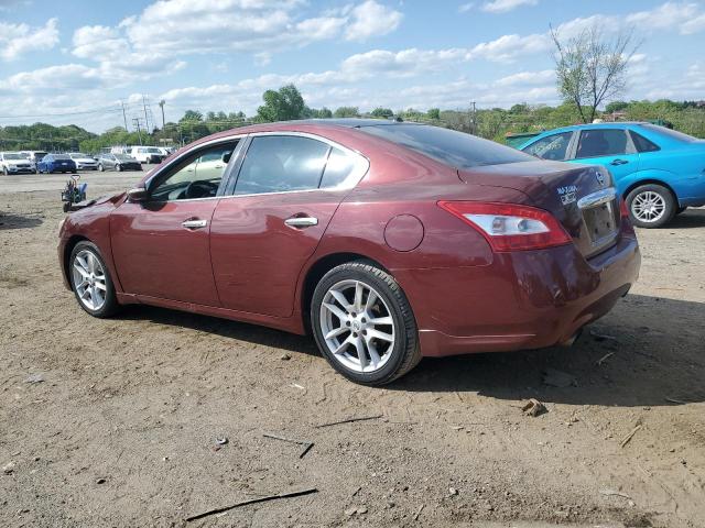 Photo 2 from auction – 2010 NISSAN MAXIMA S with VIN 1N4AA5AP7AC856086
