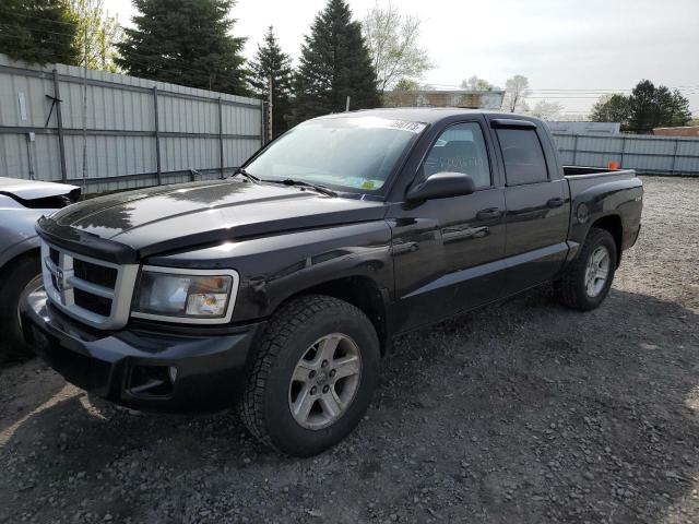 DODGE DAKOTA SLT 2011 with VIN 1D7RW3GK6BS620749 - Photo from auction