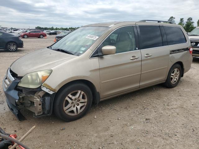 HONDA ODYSSEY EX 2005 with VIN 5FNRL38775B094033 - Photo from auction