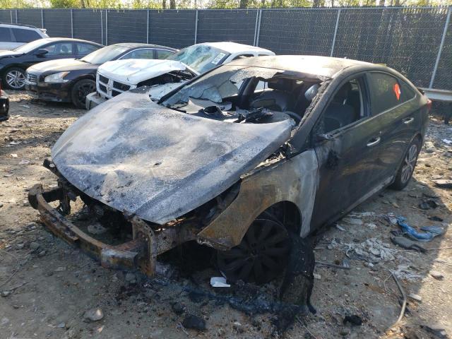 HYUNDAI SONATA SPO 2015 with VIN 5NPE34AF7FH079993 - Photo from auction