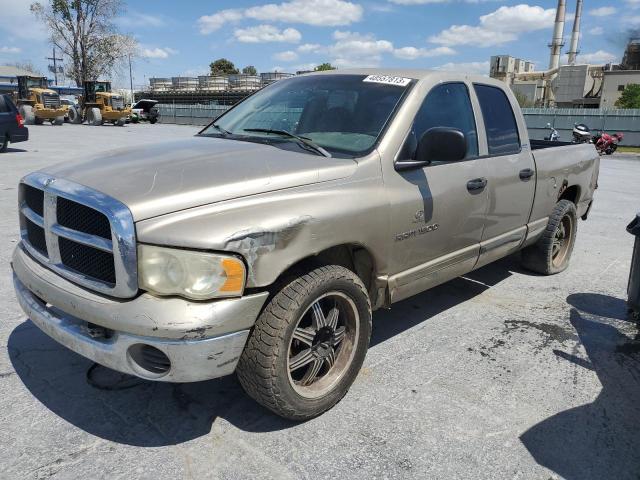 DODGE RAM 1500 2002 with VIN 1D7HA18Z82S571189 - Photo from auction