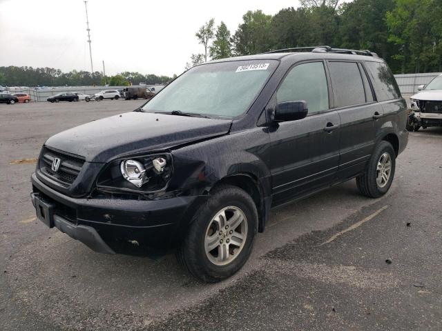 HONDA PILOT EXL 2005 with VIN 5FNYF18565B044276 - Photo from auction