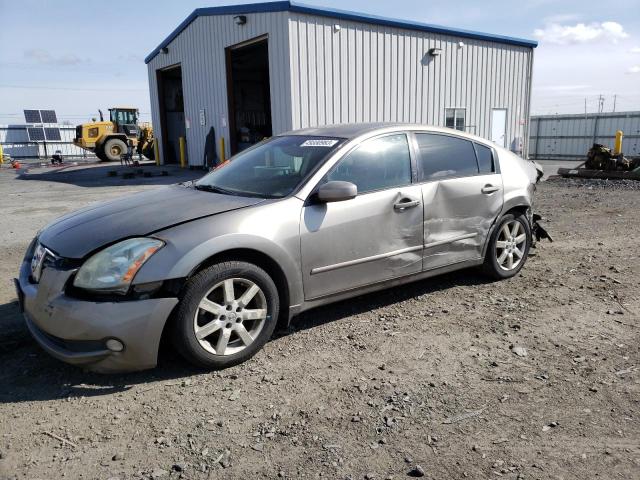 NISSAN MAXIMA 2004 with VIN 1N4BA41E04C828339 - Photo from auction