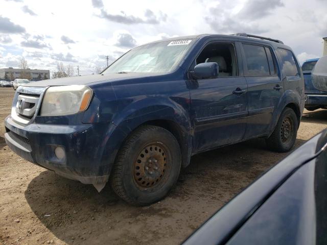HONDA PILOT EXL 2009 with VIN 5FNYF48539B502878 - Photo from auction
