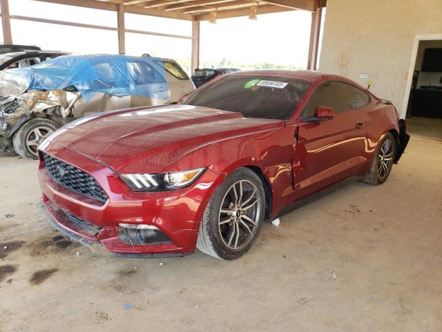 FORD MUSTANG 2017 with VIN 1FA6P8TH8H5339051 - Photo from auction