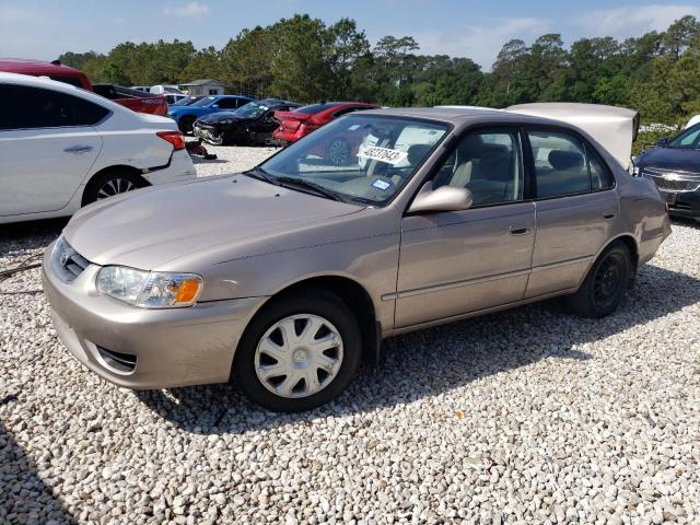 TOYOTA COROLLA CE 2001 with VIN 1NXBR12E11Z482416 - Photo from auction