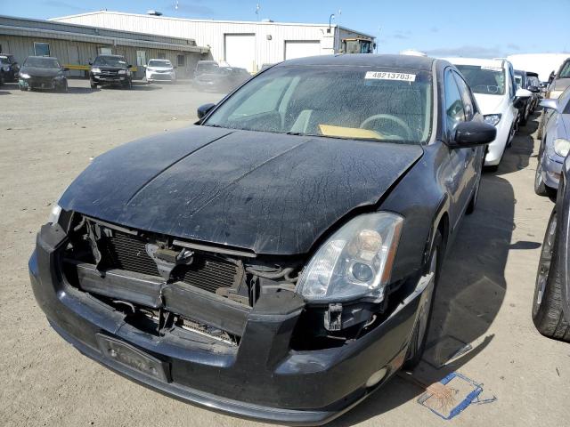 NISSAN MAXIMA SE 2004 with VIN 1N4BA41EX4C882344 - Photo from auction