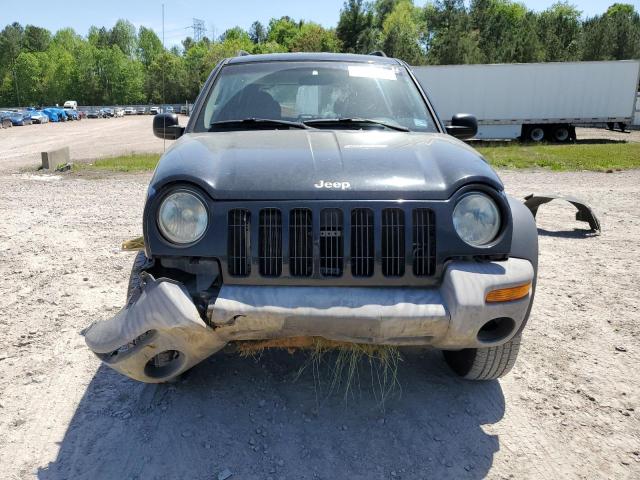 Photo 5 from auction – 2002 JEEP LIBERTY SP with VIN 1J4GL48K92W248566