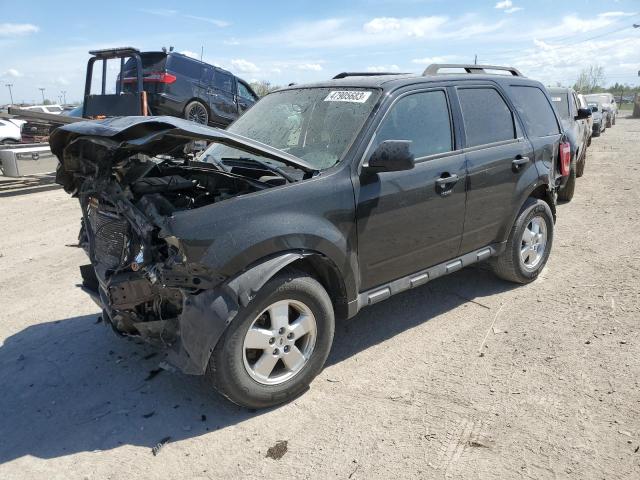 FORD ESCAPE XLT 2011 with VIN 1FMCU0DGXBKA87403 - Photo from auction