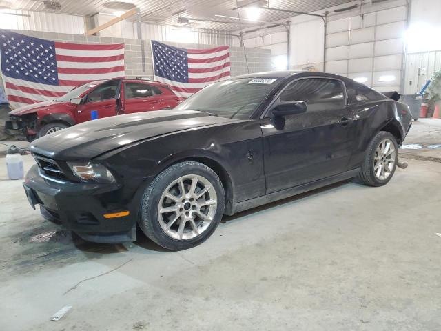 FORD MUSTANG 2011 with VIN 1ZVBP8AM5B5131609 - Photo from auction