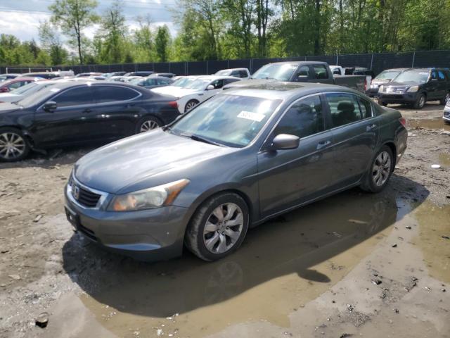 Photo 1 from auction – 2010 HONDA ACCORD EXL with VIN 1HGCP2F86AA126491