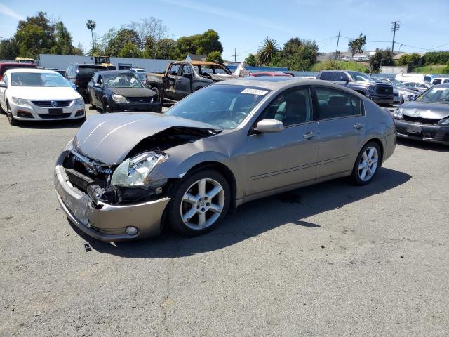 NISSAN MAXIMA SE 2005 with VIN 1N4BA41E65C852713 - Photo from auction
