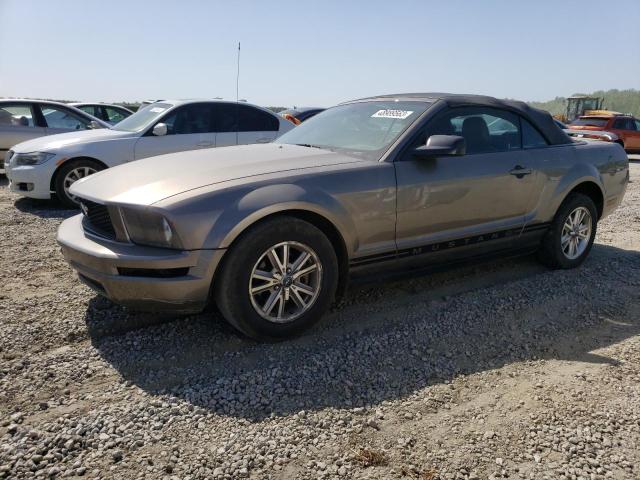 FORD MUSTANG 2005 with VIN 1ZVFT84N255248067 - Photo from auction