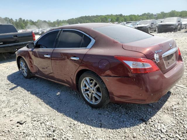 Photo 2 from auction – 2010 NISSAN MAXIMA S with VIN 1N4AA5AP0AC817128