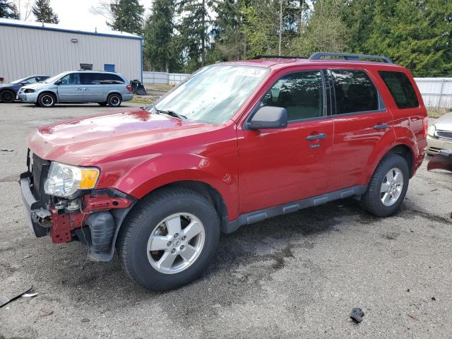 FORD ESCAPE XLT 2011 with VIN 1FMCU9D71BKB98894 - Photo from auction