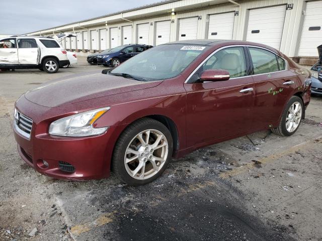 NISSAN MAXIMA S 2013 with VIN 1N4AA5AP7DC842452 - Photo from auction