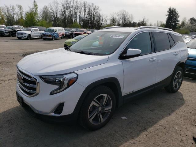 GMC TERRAIN SL 2019 with VIN 3GKALPEVXKL249635 - Photo from auction