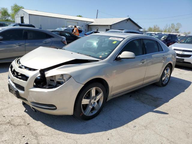 CHEVROLET MALIBU 2009 with VIN 1G1ZH57B99F256922 - Photo from auction