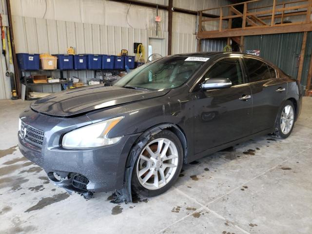 NISSAN MAXIMA S 2009 with VIN 1N4AA51E59C832802 - Photo from auction