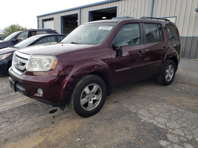 HONDA PILOT EXL 2011 with VIN 5FNYF4H56BB054383 - Photo from auction