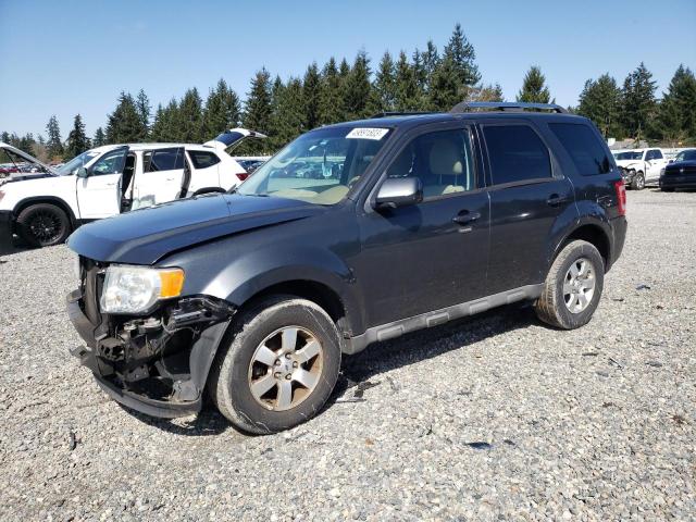 FORD ESCAPE LIM 2009 with VIN 1FMCU04G09KC02598 - Photo from auction