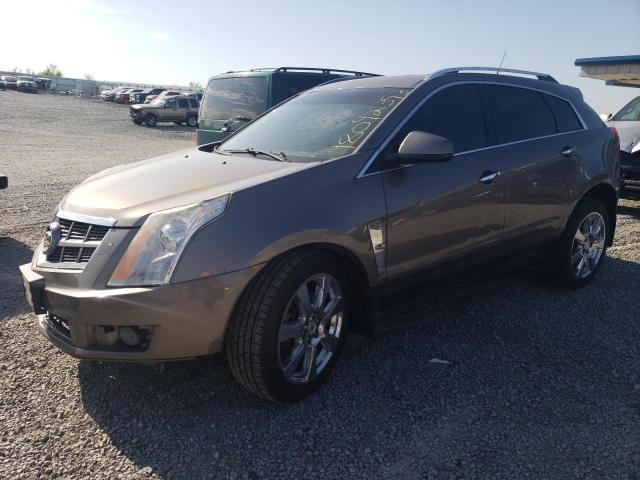 CADILLAC SRX PERFOR 2012 with VIN 3GYFNBE36CS531253 - Photo from auction