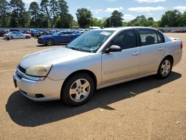 CHEVROLET MALIBU LT 2005 with VIN 1G1ZU54815F181244 - Photo from auction