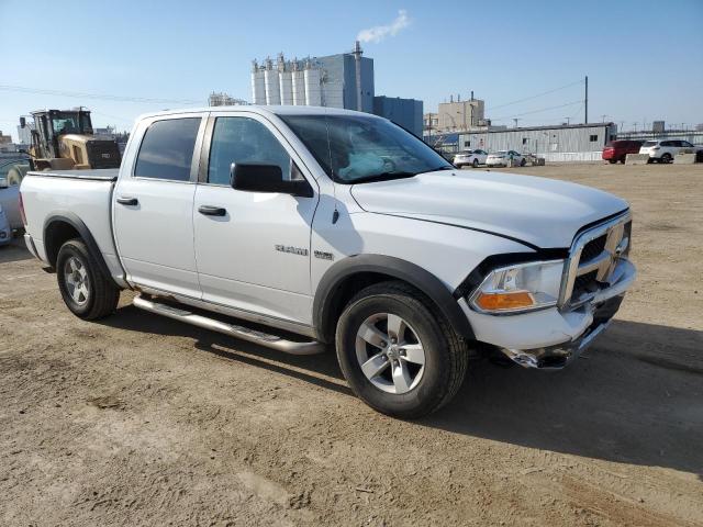 Photo 4 from auction – 2010 DODGE RAM 1500 with VIN 1D7RV1CT7AS122760