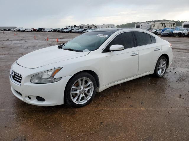 NISSAN MAXIMA S 2011 with VIN 1N4AA5AP4BC868584 - Photo from auction