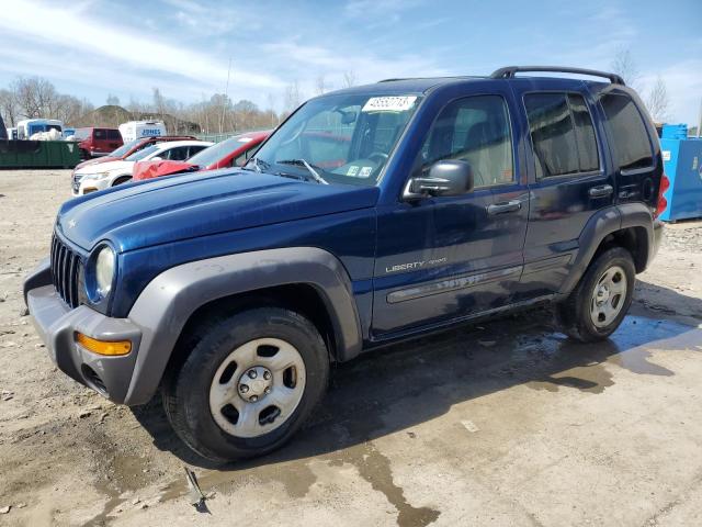 JEEP LIBERTY SP 2003 with VIN 1J4GL48K13W556493 - Photo from auction