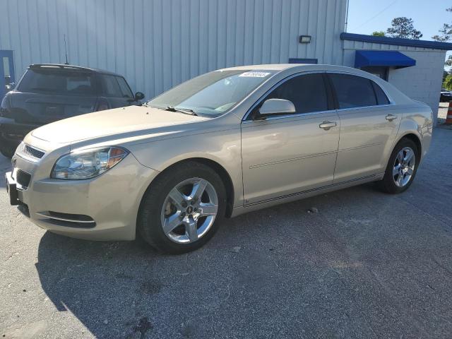 CHEVROLET MALIBU 2010 with VIN 1G1ZC5EB9AF102121 - Photo from auction