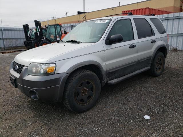 Photo 1 from auction – 2006 FORD ESCAPE XLT with VIN 1FMYU03176KD12191