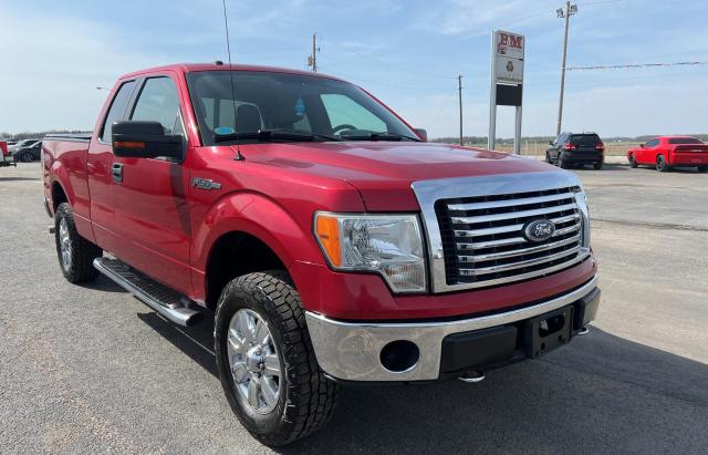 FORD F150 SUPER 2010 with VIN 1FTFX1EV0AFB47594 - Photo from auction