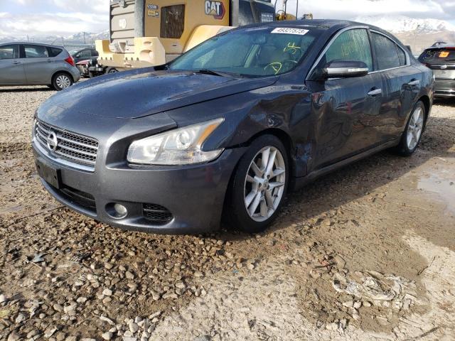 NISSAN MAXIMA S 2009 with VIN 1N4AA51E59C836784 - Photo from auction