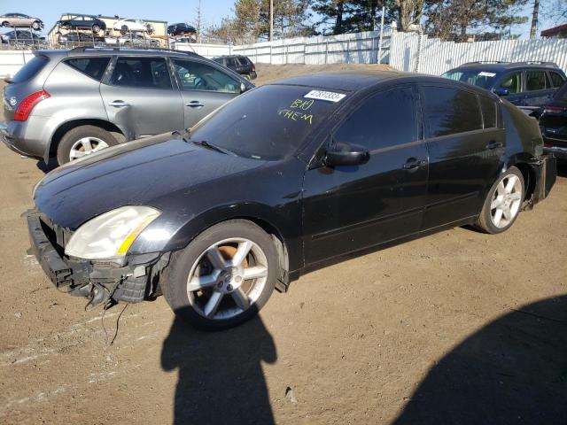 NISSAN MAXIMA SE 2004 with VIN 1N4BA41E74C854405 - Photo from auction