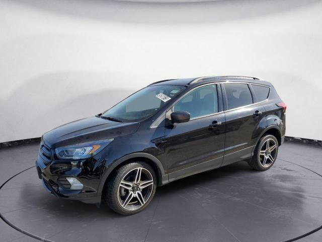 FORD ESCAPE SEL 2019 with VIN 1FMCU0HD8KUB79341 - Photo from auction