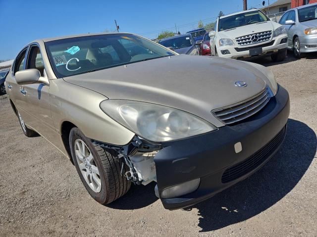 LEXUS ES 300 2002 with VIN JTHBF30G920007245 - Photo from auction