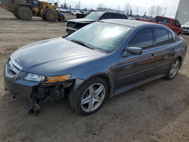 ACURA TL 2004 with VIN 19UUA65604A801379 - Photo from auction