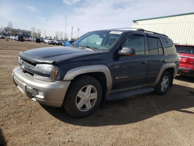 CHEVROLET TRAILBLAZE 2003 with VIN 1GNDT13S532230967 - Photo from auction