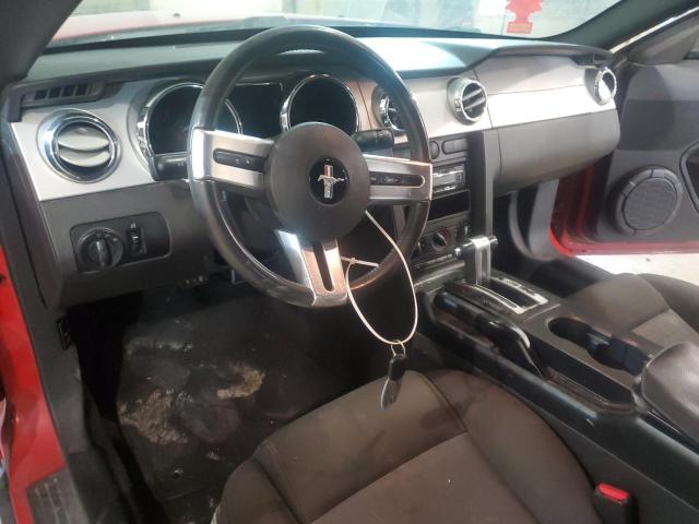 Photo 8 from auction – 2005 FORD MUSTANG with VIN 1ZVFT80N955205271
