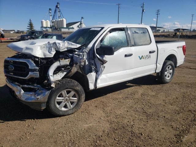 FORD F150 SUPER 2023 with VIN 1FTEW1EP2PFA01190 - Photo from auction
