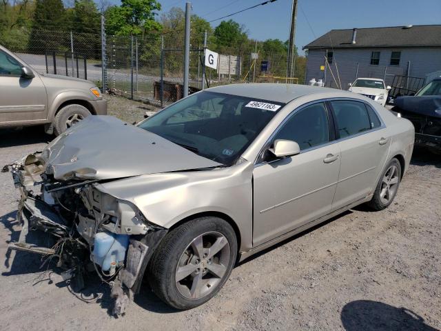 CHEVROLET MALIBU 1LT 2011 with VIN 1G1ZC5E16BF197553 - Photo from auction
