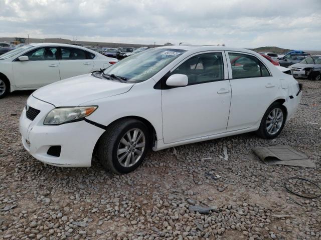 TOYOTA COROLLA BA 2010 with VIN 1NXBU4EE6AZ208253 - Photo from auction