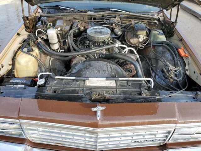 Photo 11 from auction – 1982 CHEVROLET CAPRICE CL with VIN 2G1AN69J9C1158830